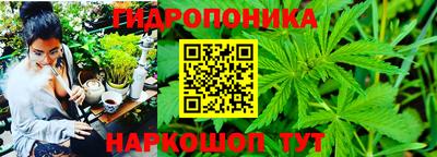 mdma Дубна